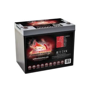 FT16V830-24