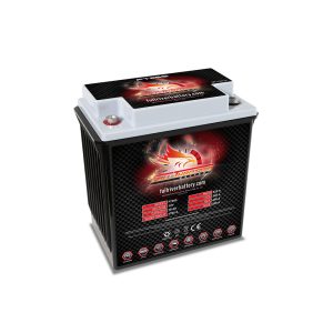 FT265