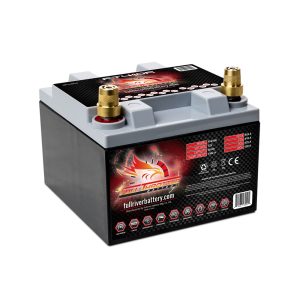 FT410L